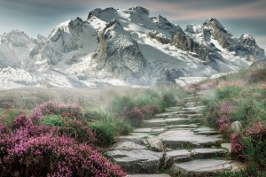 r星一共赚了多少钱 R星吸金神话：全球累计营收突破千亿的财富密码